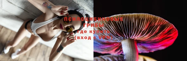 a pvp Верея