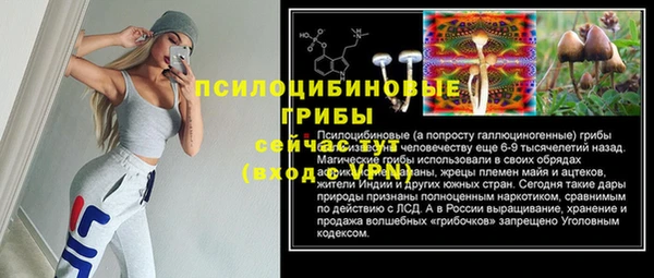 a pvp Верея