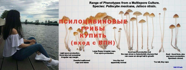 а пвп мука Верхний Тагил